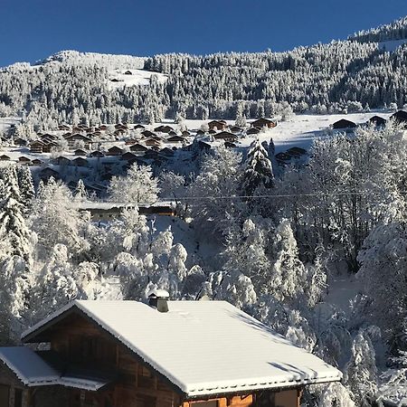 Au Bois De Lune Chatel Exterior photo